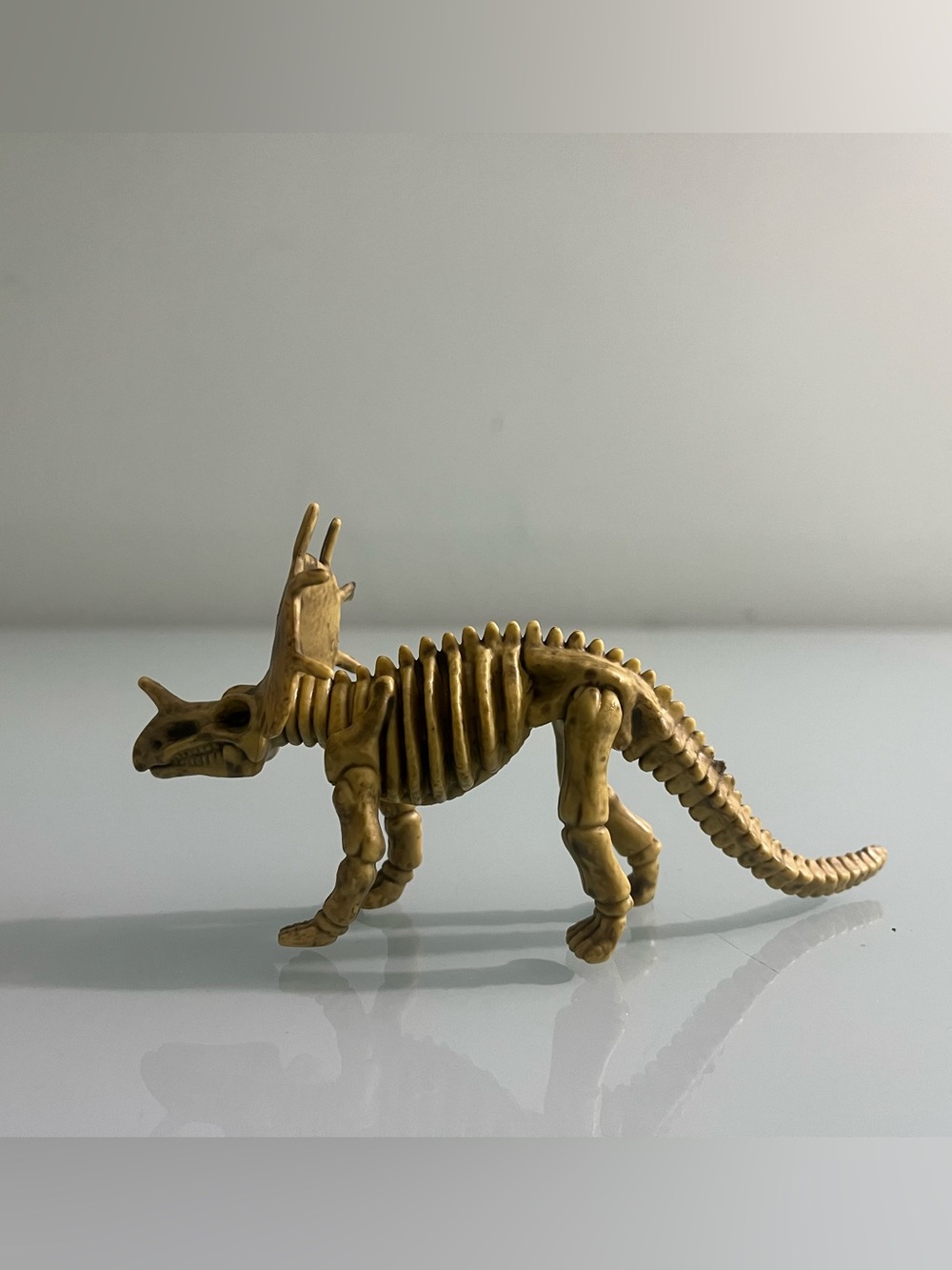 Triceratops Prehistoric Dinosaur 5.5” Skeleton Model Figure Unbranded Toy